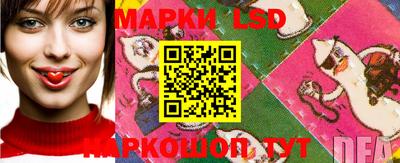 мяу мяу мука Малоярославец