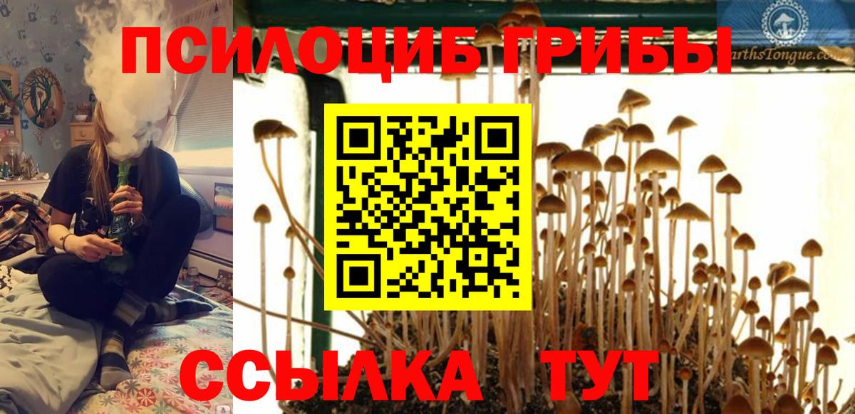 Псилоцибиновые грибы Magic Shrooms  Вход с VPN  Галлюциногенные грибы MAGIC MUSHROOMS  Донской 