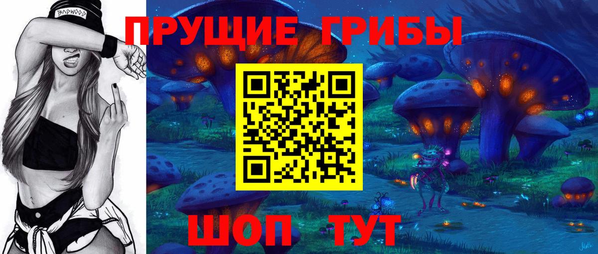 Псилоцибиновые грибы мицелий Донской